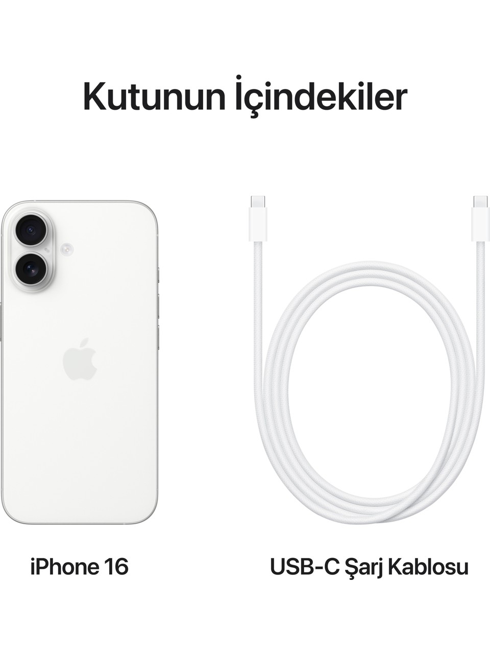 Text